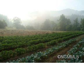 366 Blue Hill Road Marshall, NC 28753 - Photo 6 of 24