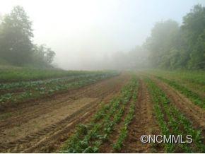 366 Blue Hill Road Marshall, NC 28753 - Photo 7 of 24