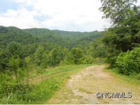 366 Blue Hill Road Marshall, NC 28753 - Photo 9 of 24