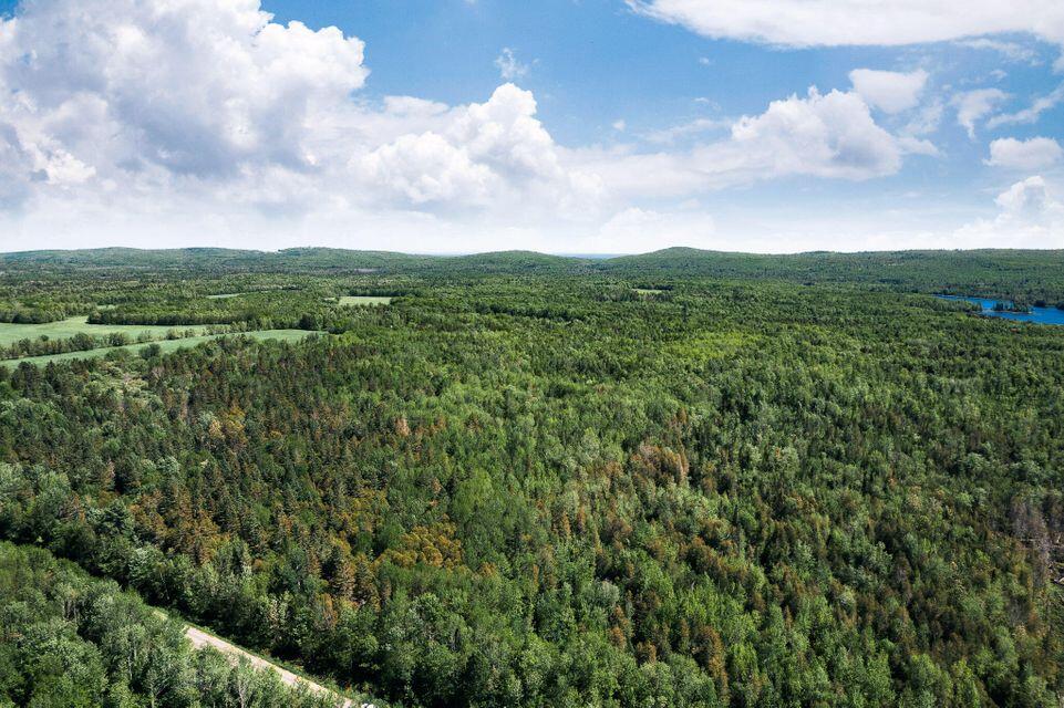 Dover-foxcroft Norton Hill Road Dover-Foxcroft, ME 04426 - Photo 3 of 10 3