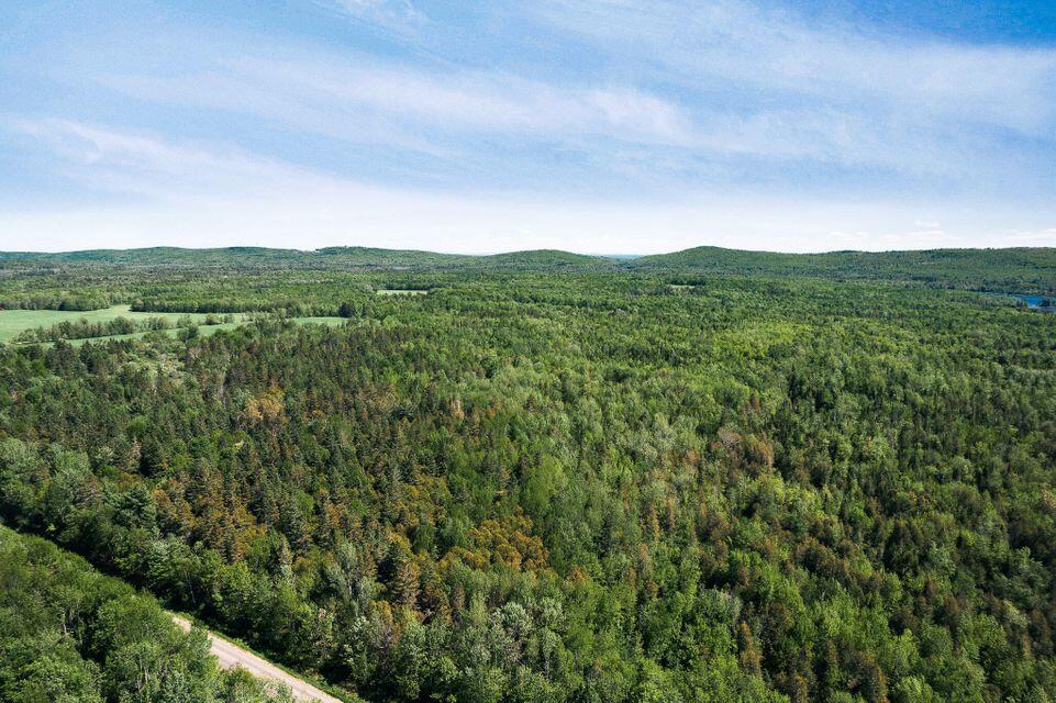 Dover-foxcroft Norton Hill Road Dover-Foxcroft, ME 04426 - Photo 5 of 10 5