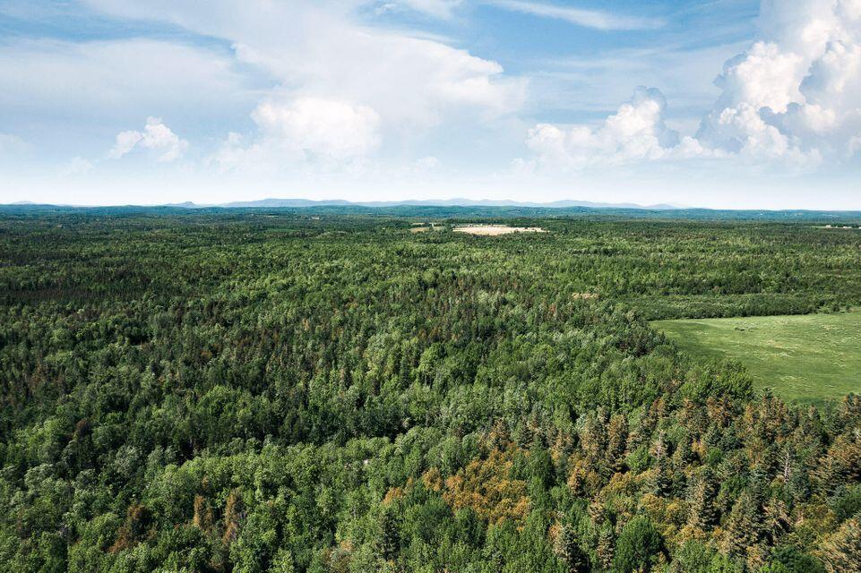 Dover-foxcroft Norton Hill Road Dover-Foxcroft, ME 04426 - Photo 7 of 10 7