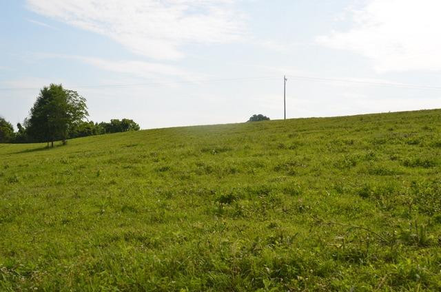 3887 High Bridge Road Lancaster, KY 40444 - Photo 66 of 97 Photo 66