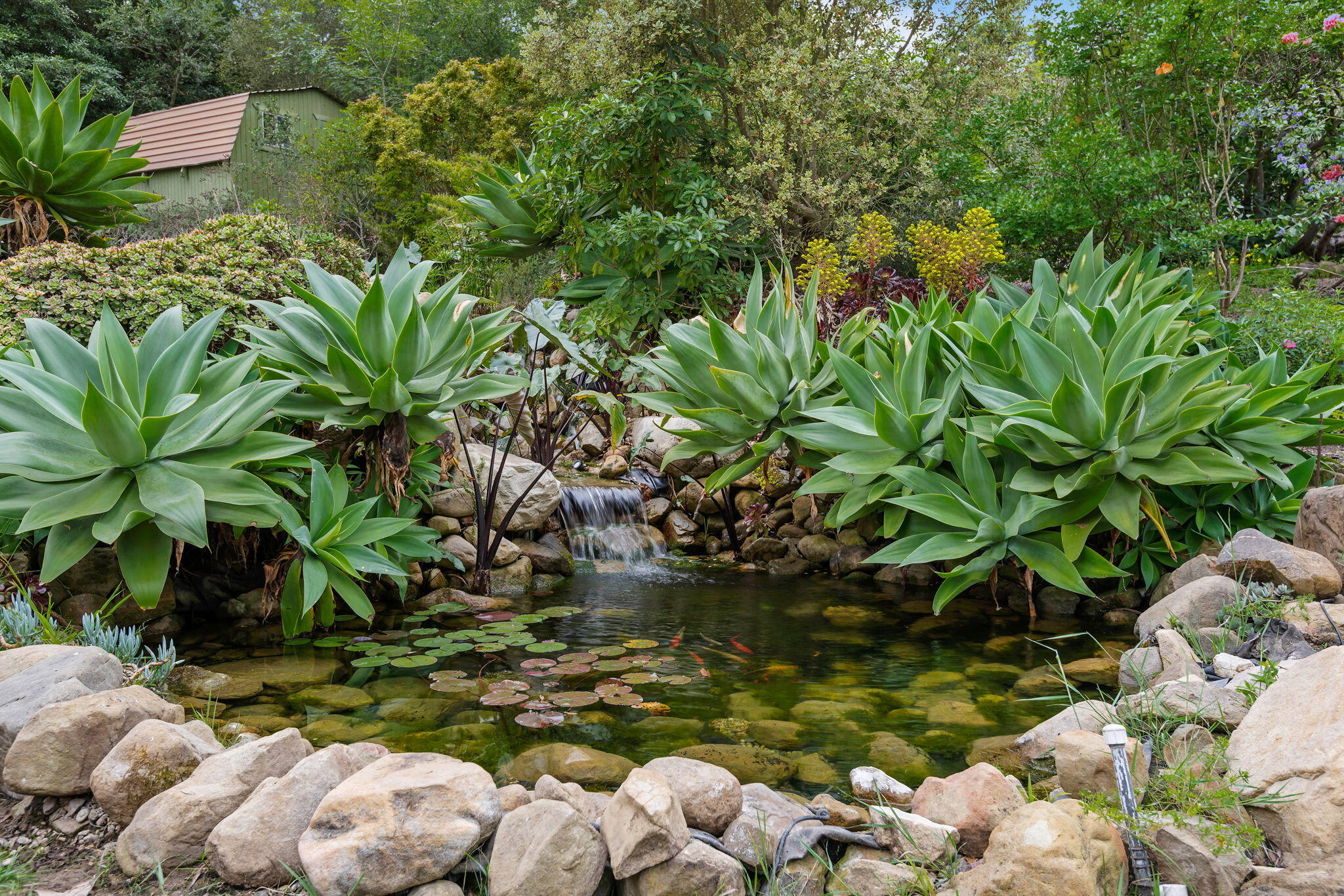 3165 Eucalyptus Hill Road Santa Barbara, CA 93108 - Photo 22 of 32 34-Koi Pond