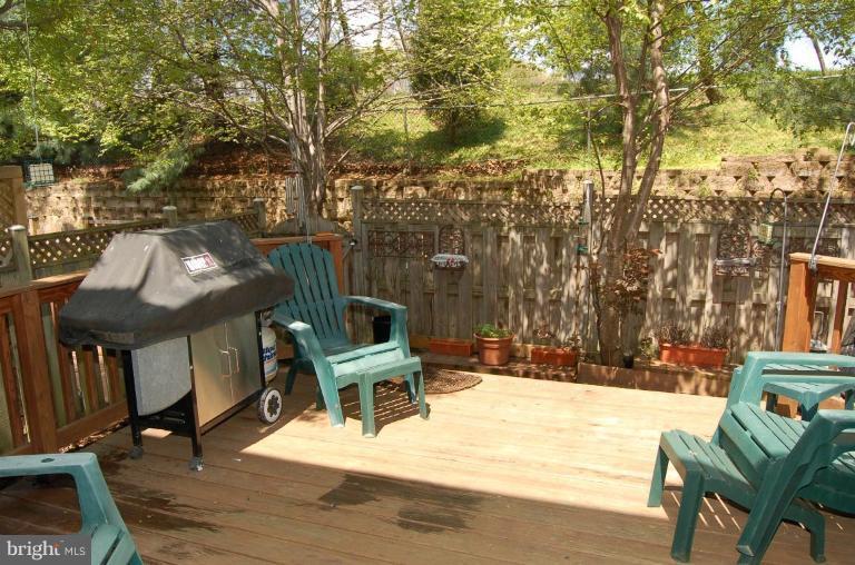 3634 Ransom Place Alexandria, VA 22306 - Photo 7 of 8 Back yard