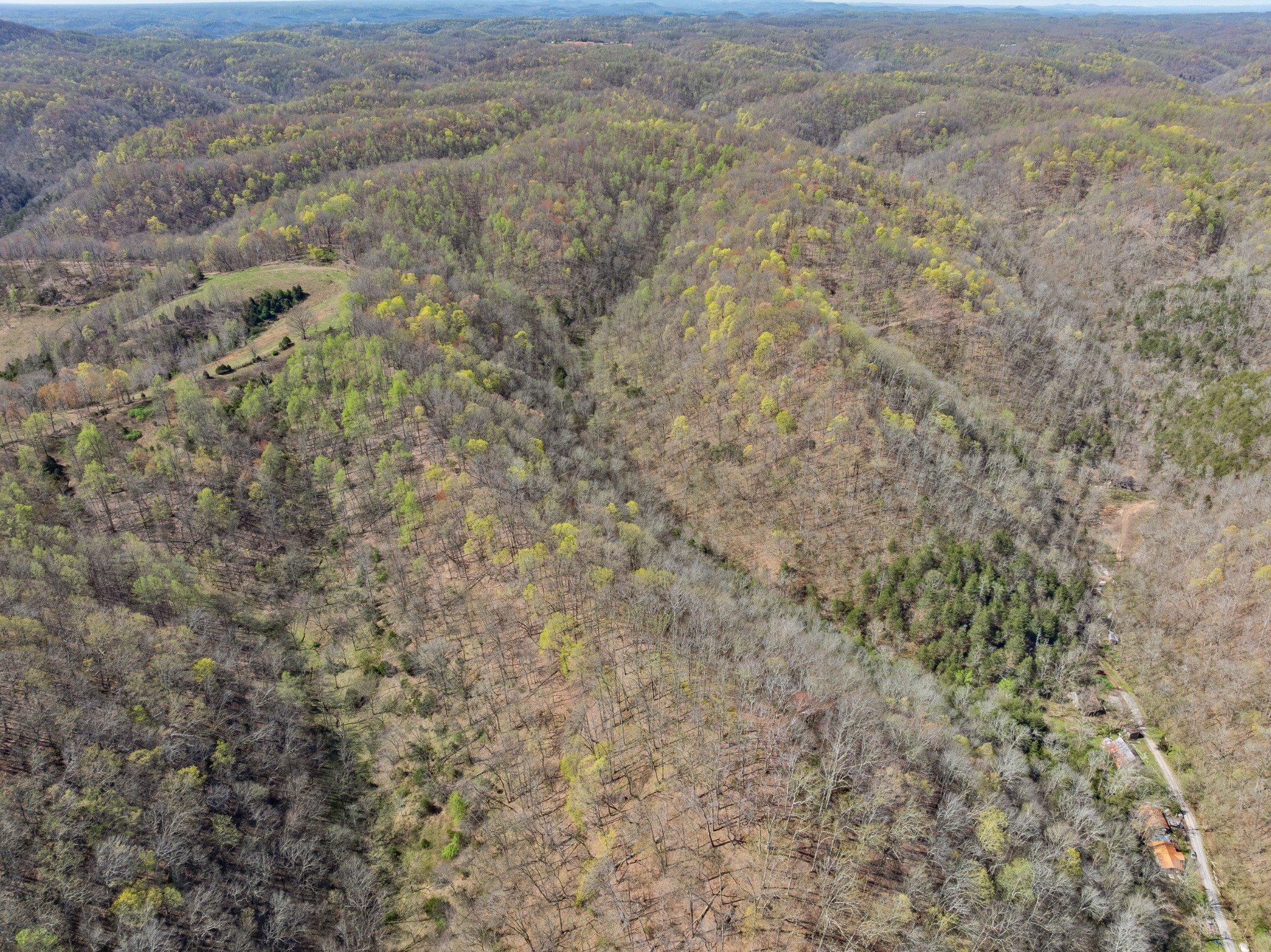 877 Turkey Branch Road Liberty, TN 37095 - Photo 11 of 12 Gallery Image 11