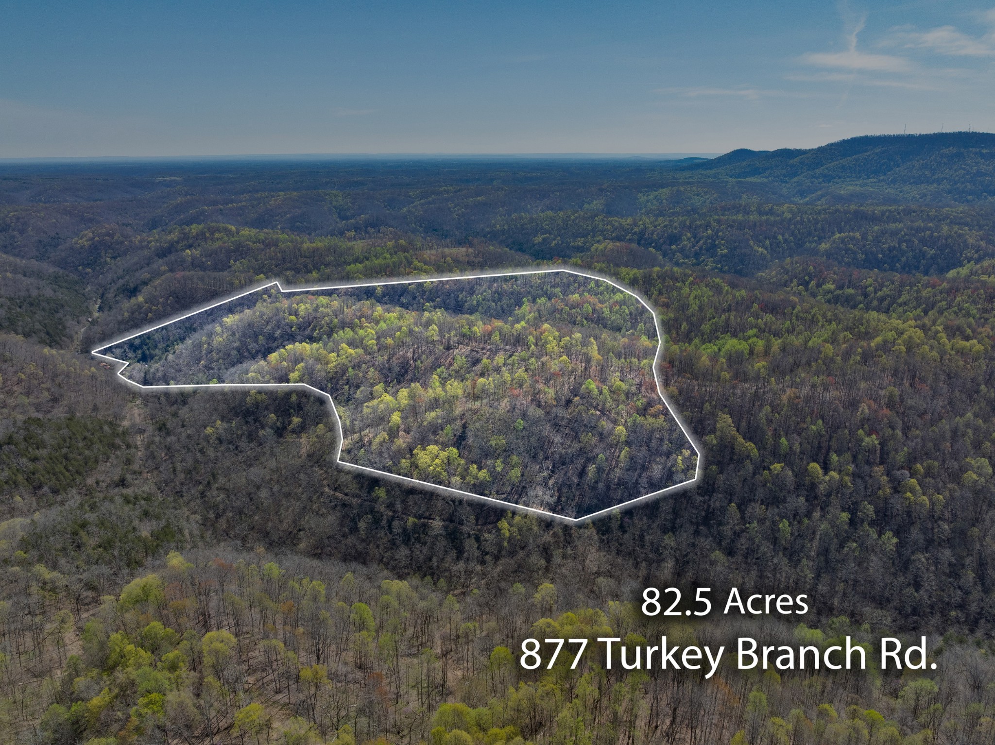 877 Turkey Branch Road Liberty, TN 37095 - Photo 12 of 12 Gallery Image 12