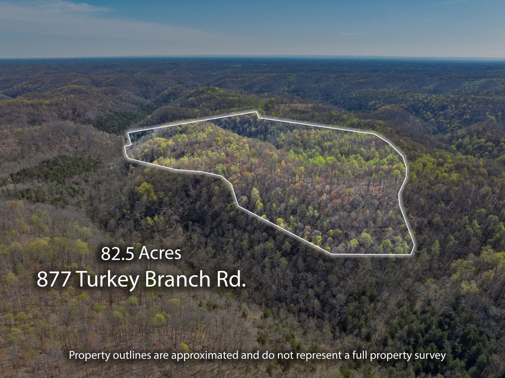 877 Turkey Branch Road Liberty, TN 37095 - Photo 3 of 12 Gallery Image 3