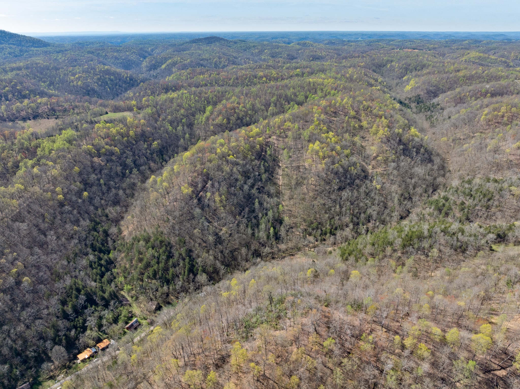 877 Turkey Branch Road Liberty, TN 37095 - Photo 4 of 12 Gallery Image 4