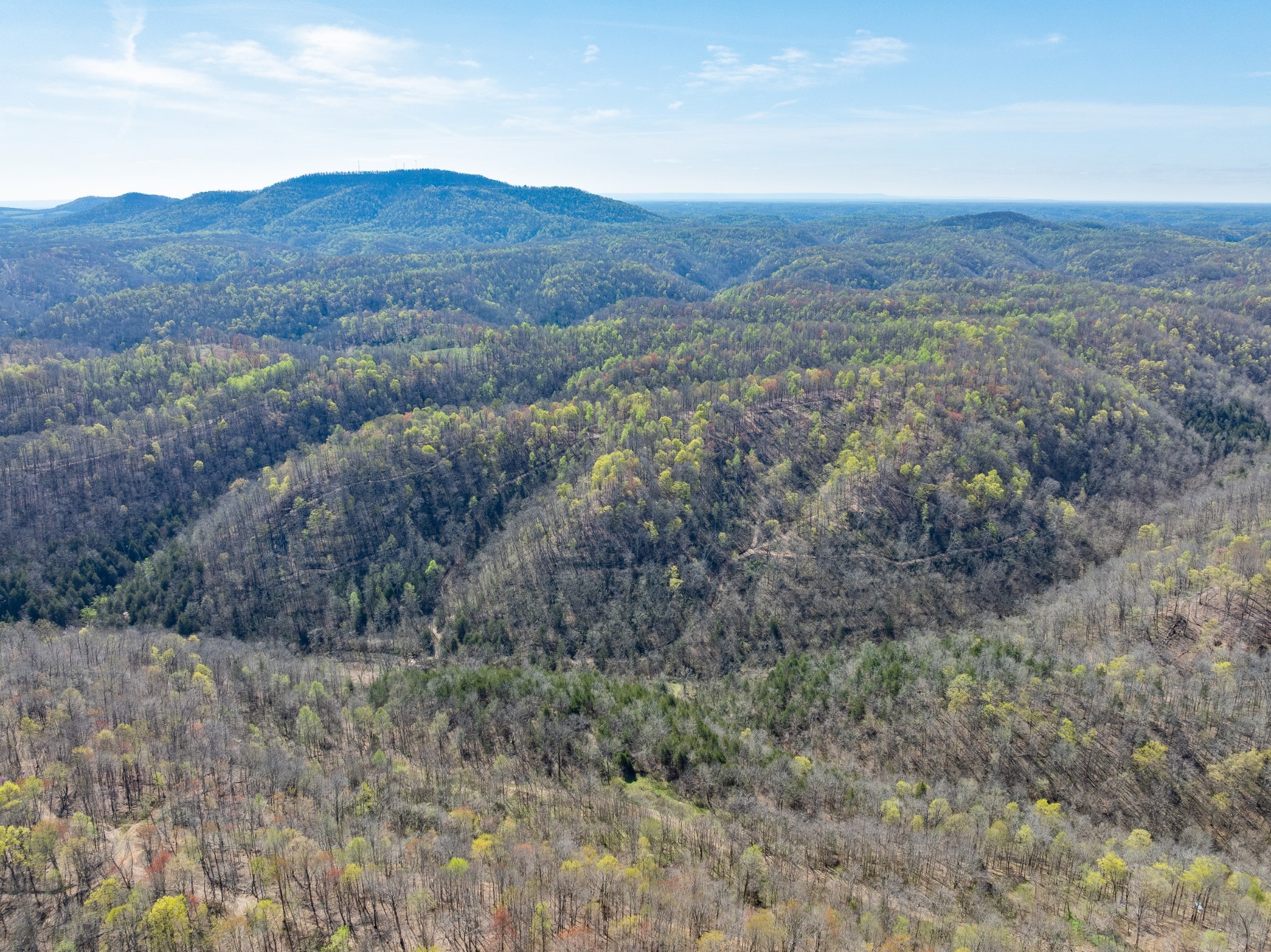 877 Turkey Branch Road Liberty, TN 37095 - Photo 5 of 12 Gallery Image 5