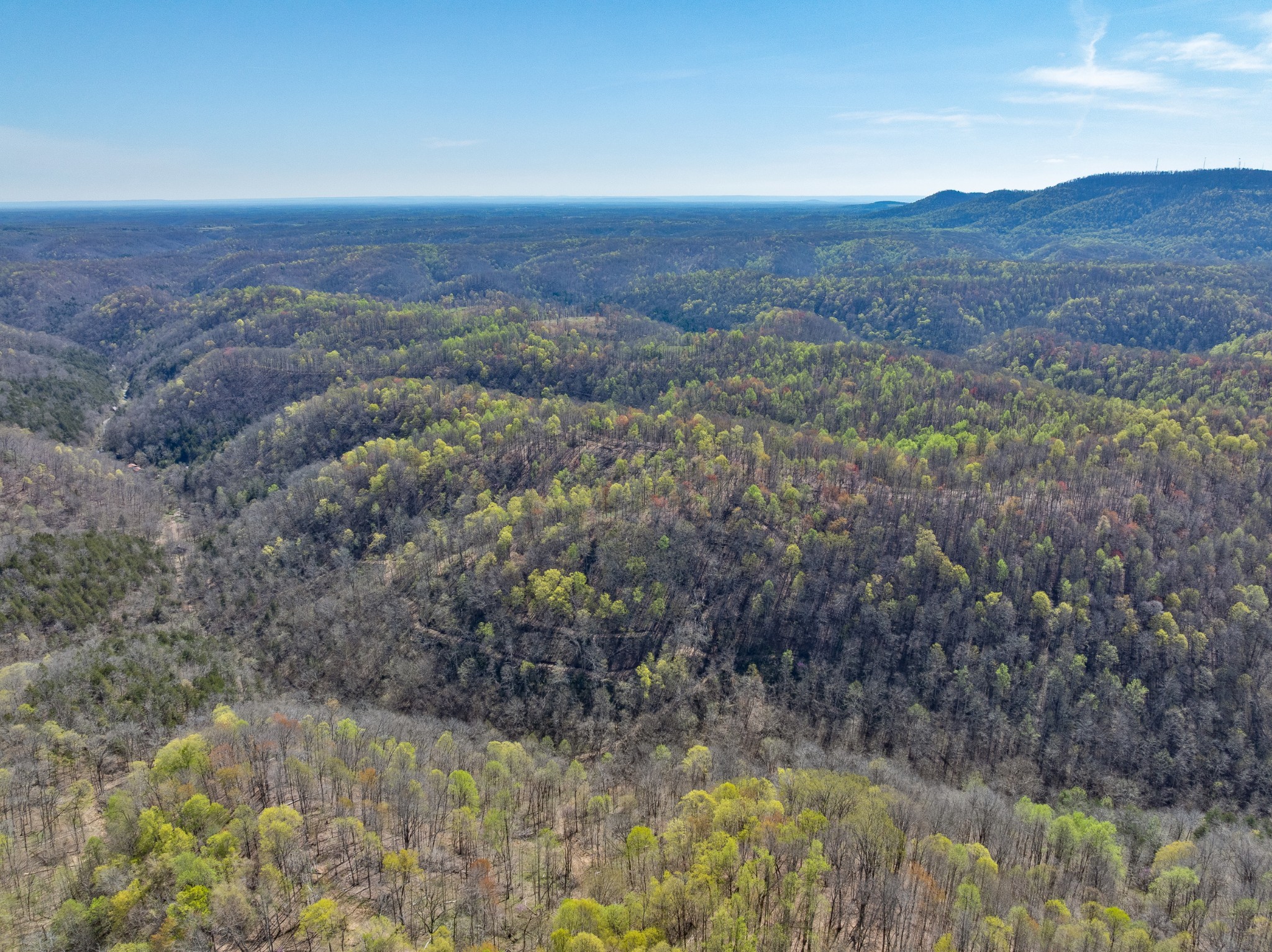 877 Turkey Branch Road Liberty, TN 37095 - Photo 6 of 12 Gallery Image 6
