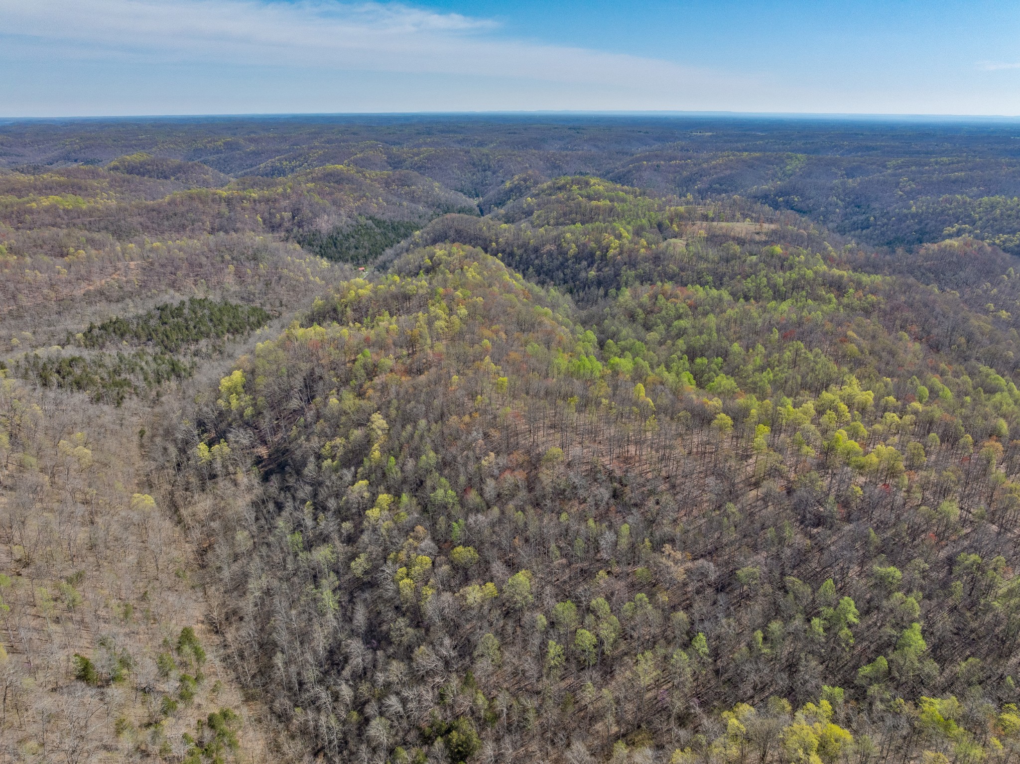 877 Turkey Branch Road Liberty, TN 37095 - Photo 8 of 12 Gallery Image 8