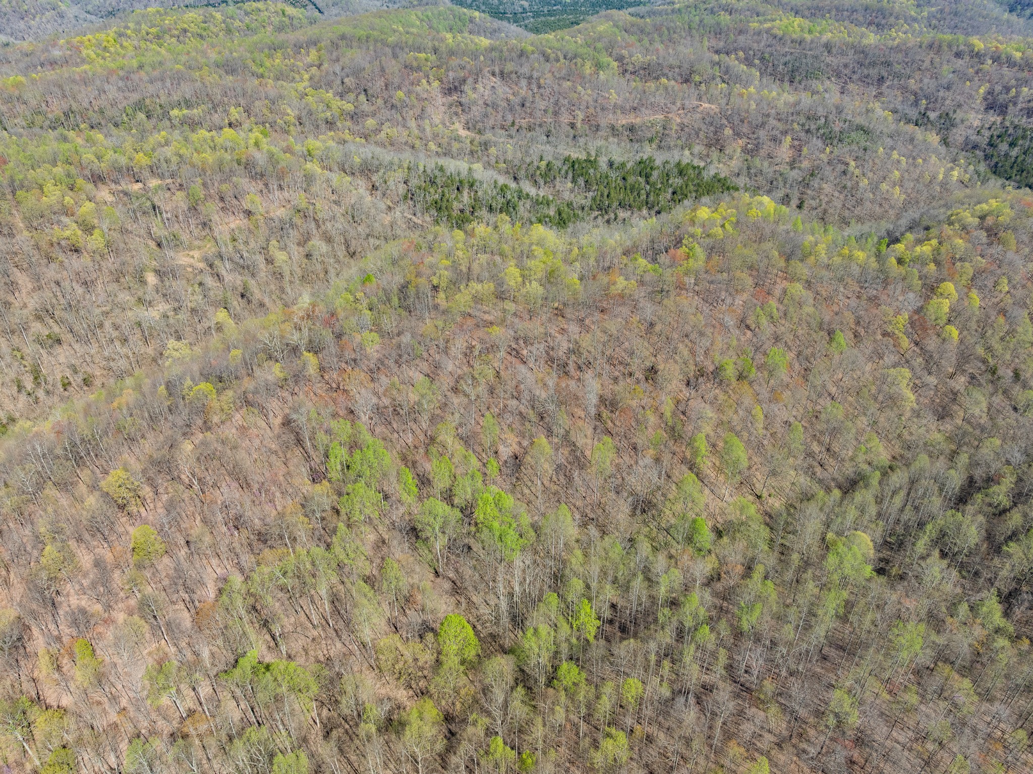 877 Turkey Branch Road Liberty, TN 37095 - Photo 9 of 12 Gallery Image 9