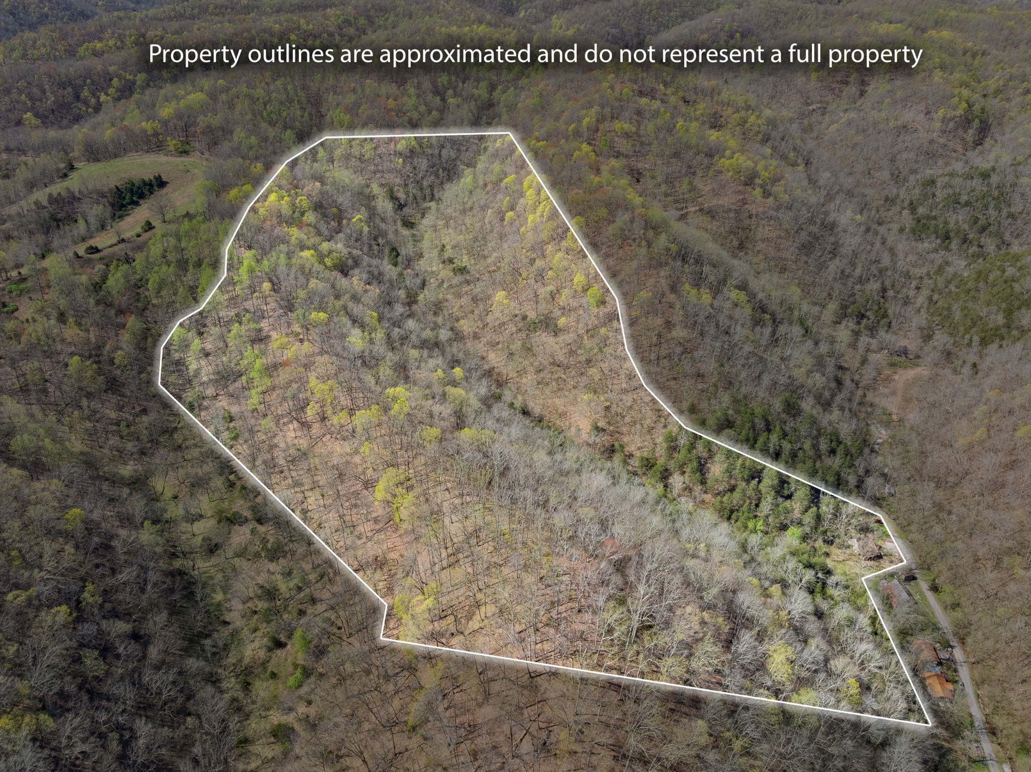 877 Turkey Branch Road Liberty, TN 37095 - Photo 10 of 12 Gallery Image 10