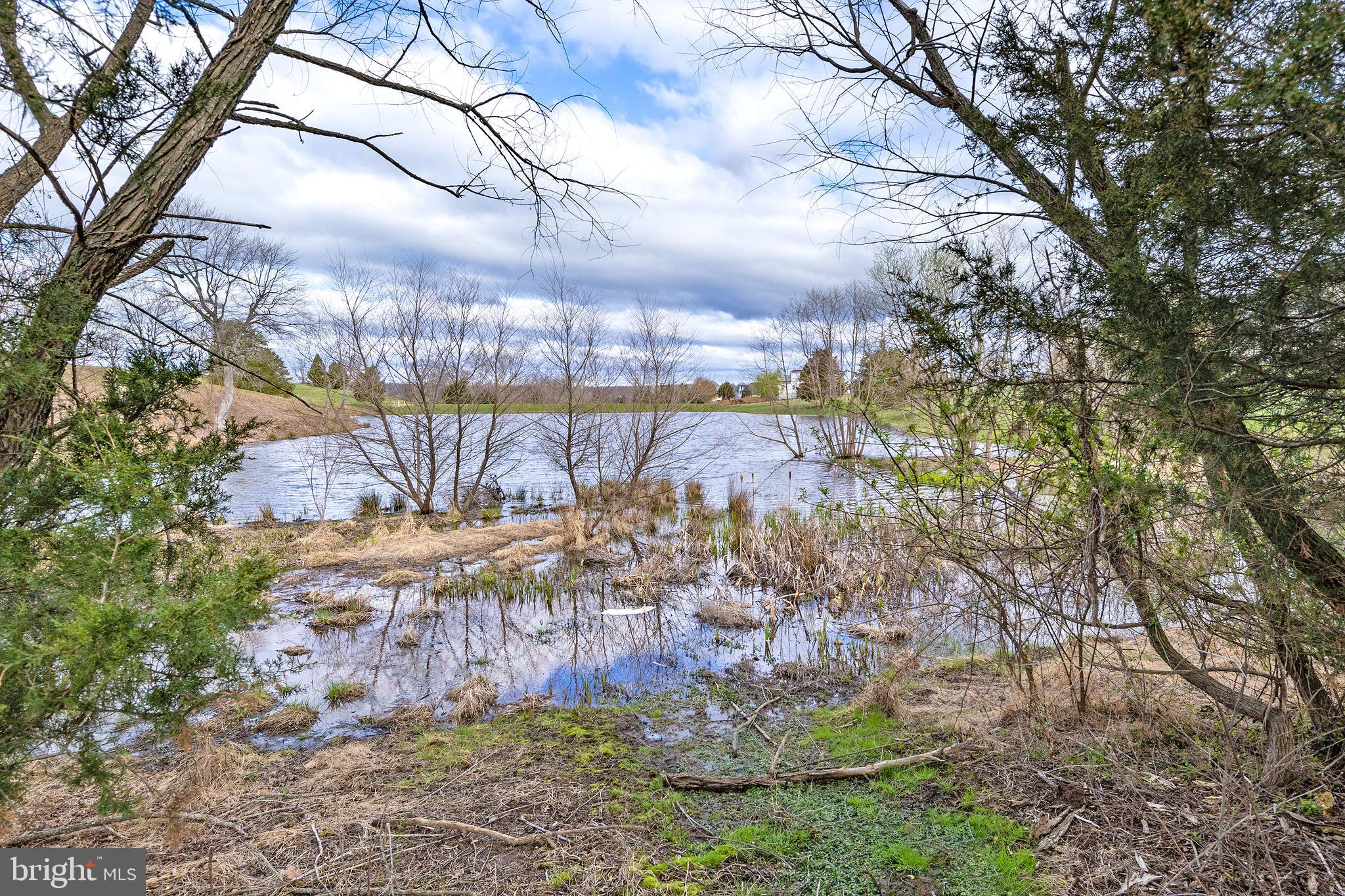 23045 Watson Road Leesburg, VA 20175 - Photo 50 of 69 a view of a city with large trees