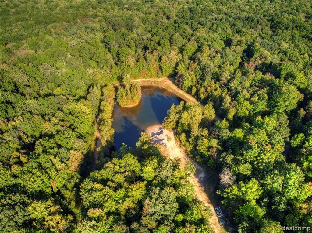 13285 E Road Montrose, MI 48457 - Photo 51 of 53 DJI_0983.jpg