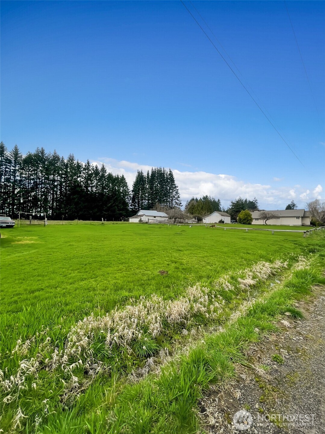 19 Fairley Street Raymond, WA 98577 - Photo 5 of 17 a view of a grassy field with an trees