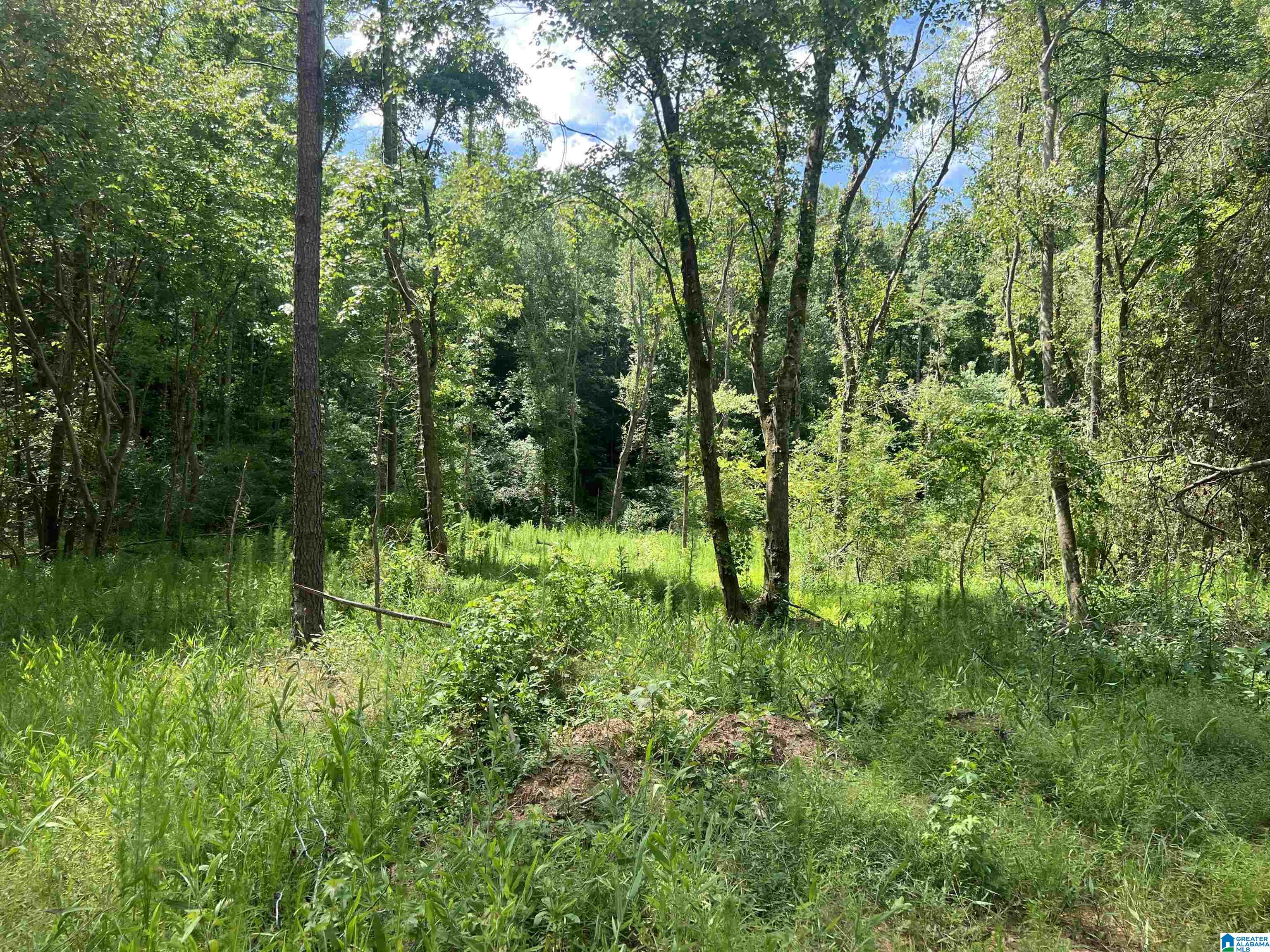0 County Road 689, Unit 1 Ranburne, AL 36273 - Photo 20 of 69
