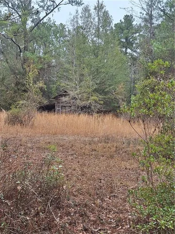 $360,000 | 2447 Hwy 259 Highway, Waynesville, GA 31566