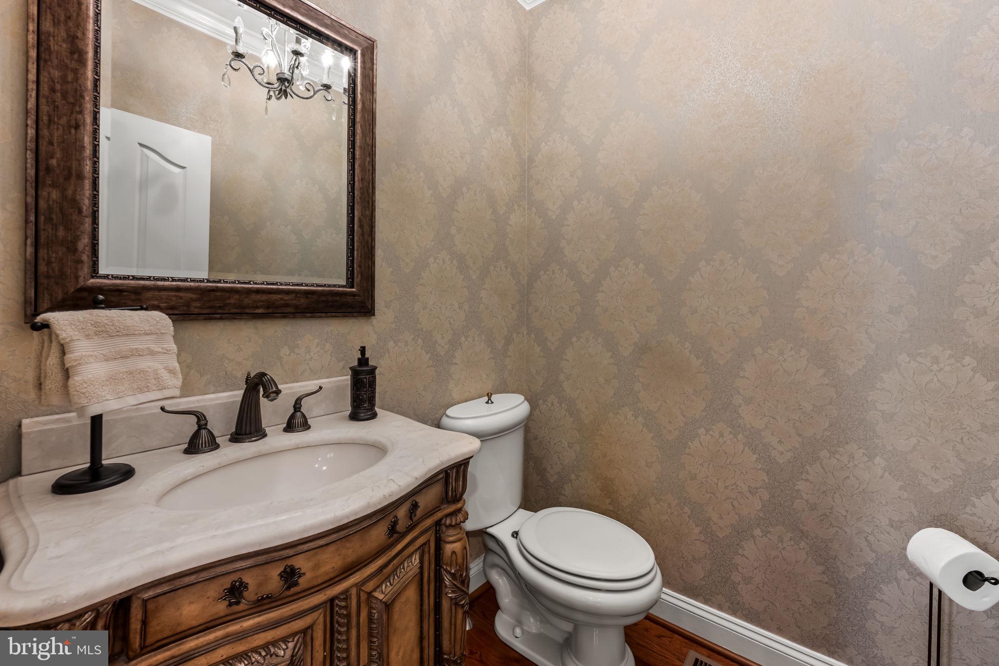 13910 Manor Road Phoenix, MD 21131 - Photo 24 of 94 Entry level guest bath