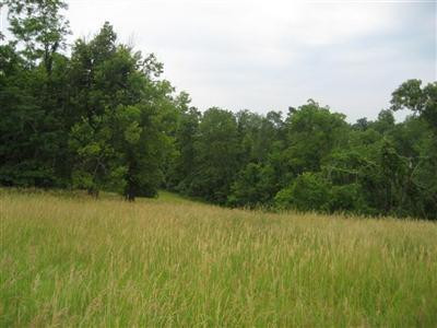 9999 Tracy Road Lawrenceburg, KY 40342 - Photo 21 of 41 Photo 21