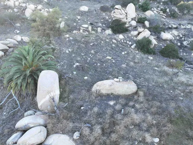 a view of a dry yard with lots of green space