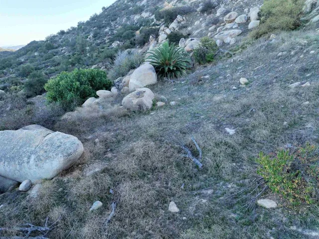 a view of a mountain in the distance tree