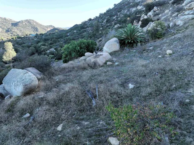 a view of a forest with a mountain and trees