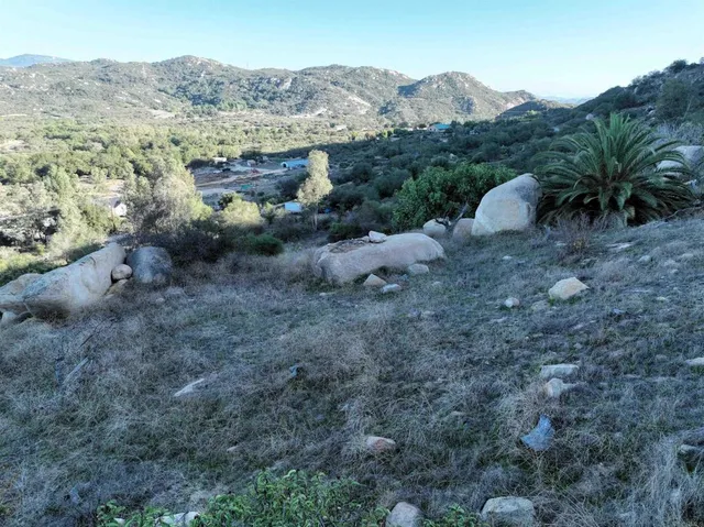 a view of a yard with a tree