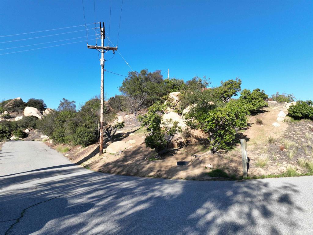 Rainbow Peaks Trail Fallbrook, CA 92028 - Photo 3 of 48 a view of a yard with a tree