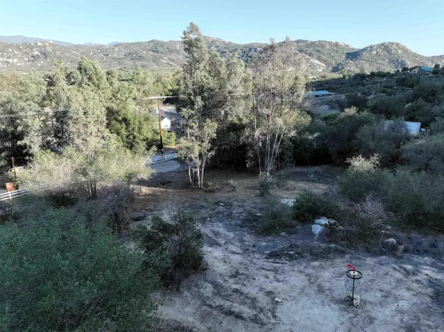 a view of a forest with trees