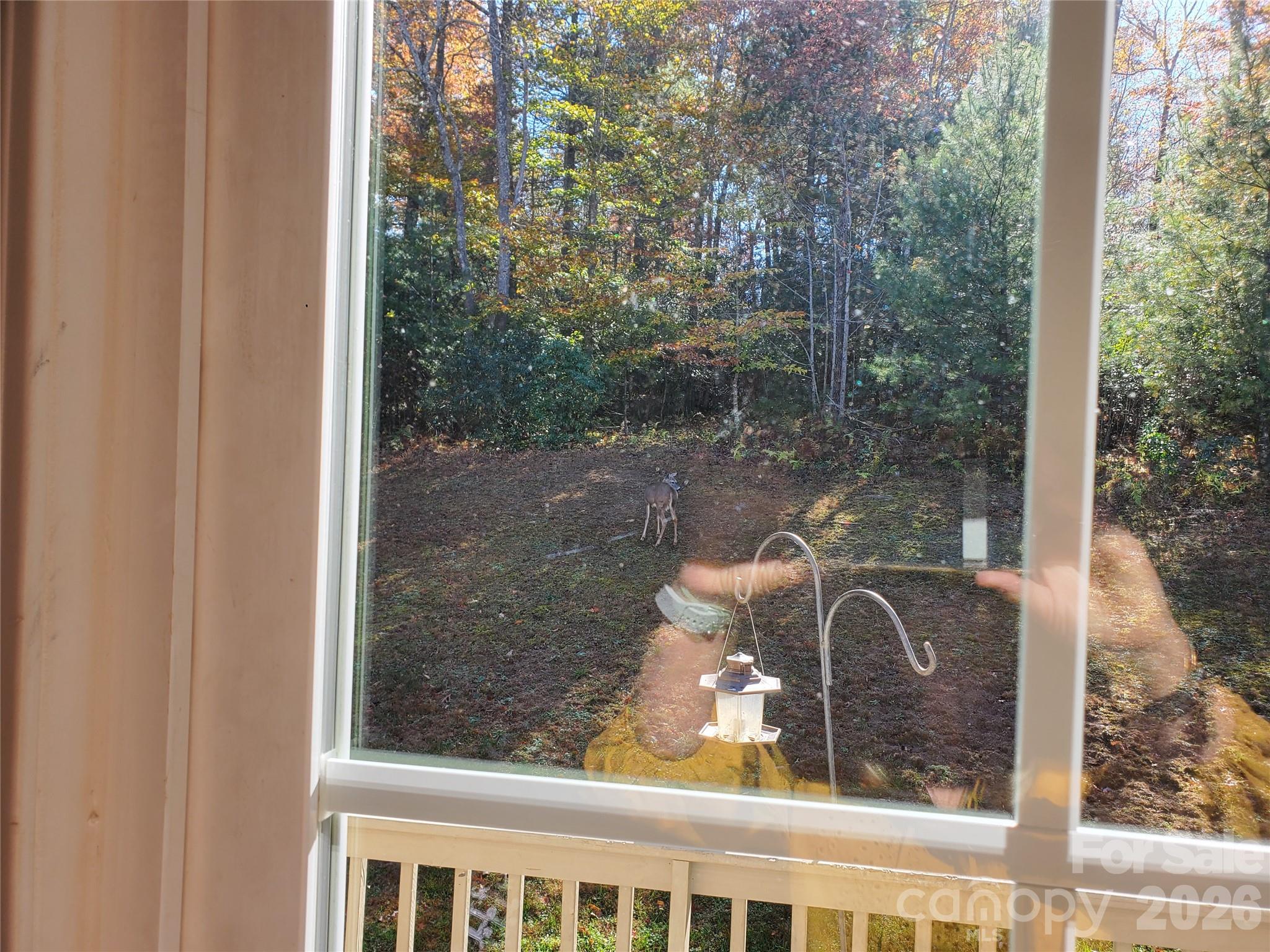 457 Dale Road Spruce Pine, NC 28777 - Photo 27 of 36 a view of a door from a window