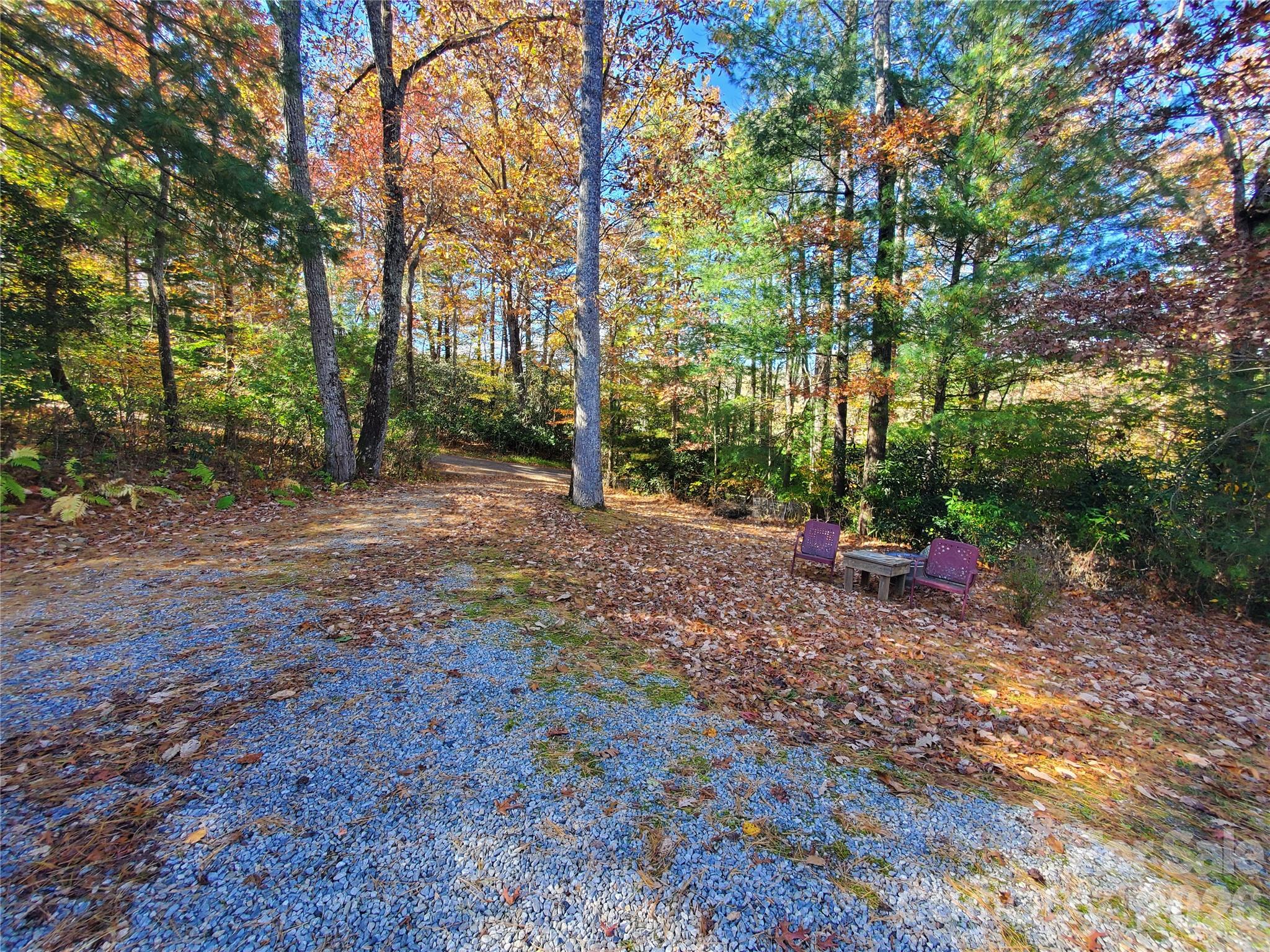 457 Dale Road Spruce Pine, NC 28777 - Photo 35 of 36 a view of a forest with trees in the background