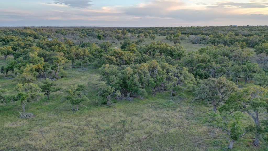 0 Stevens Ranch Road Harper, TX 78631 - Photo 5 of 31 a view of a field with an trees