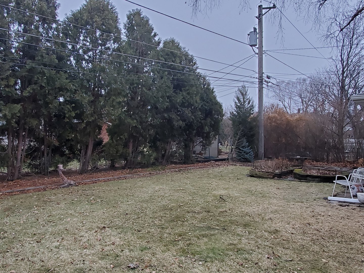 802 West Busse Avenue Mount Prospect, IL 60056 - Photo 9 of 9 a view of a backyard with large trees