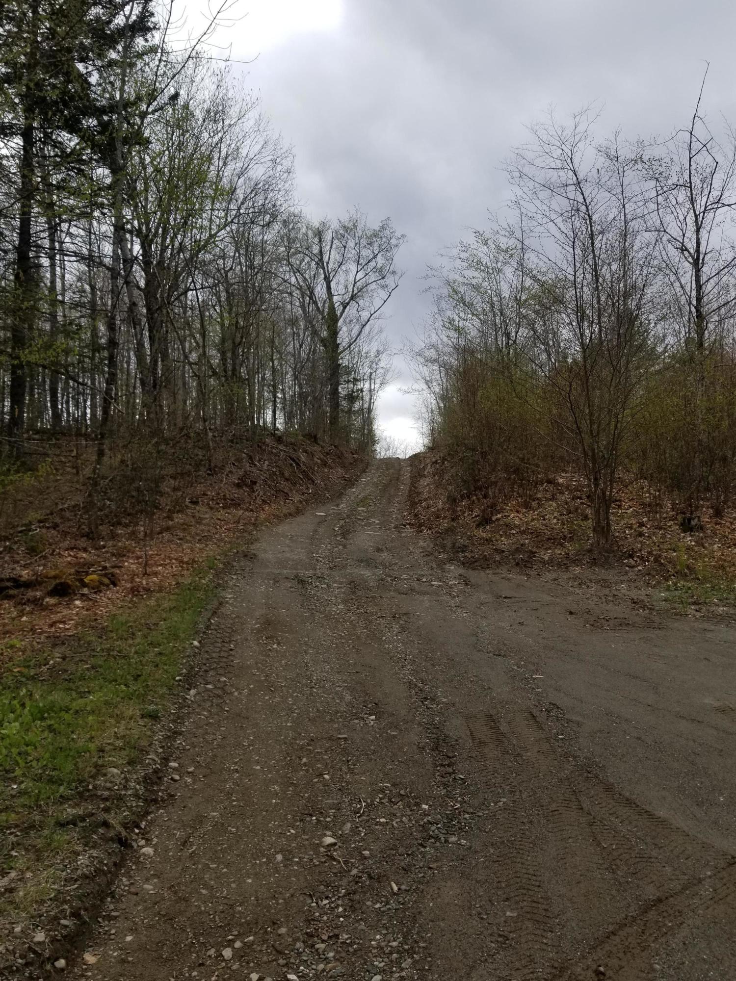 Tbd Kimball Hill Road Jackson, ME 04921 - Photo 2 of 13 20210506_142019