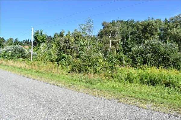 $99,900 | 9190 Ball Road, Otto, NY 14719