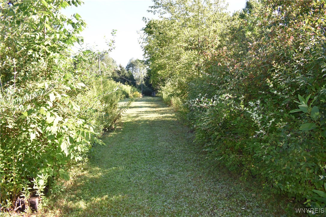 9190 Ball Road Otto, NY 14719 - Photo 11 of 20