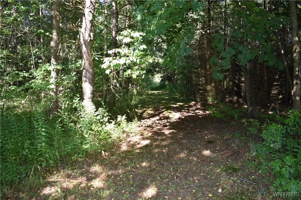 $99,900 | 9190 Ball Road, Otto, NY 14719