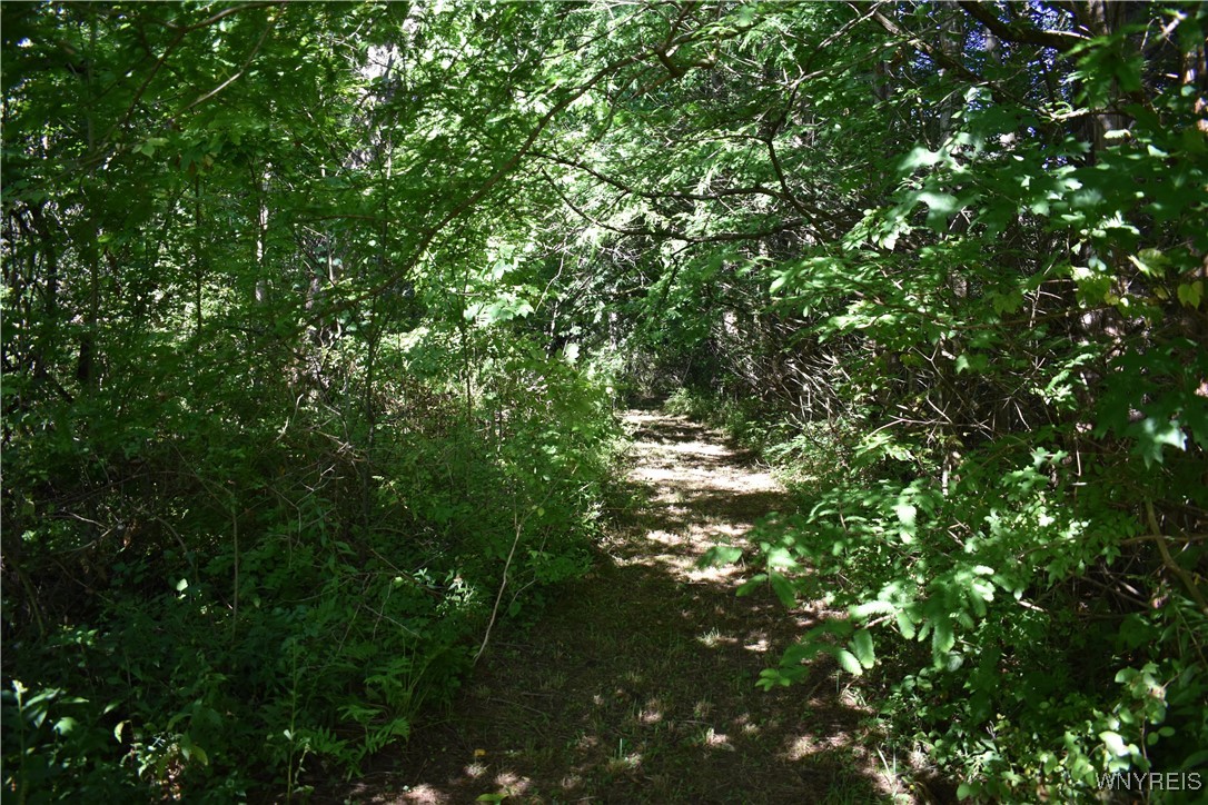 9190 Ball Road Otto, NY 14719 - Photo 13 of 20