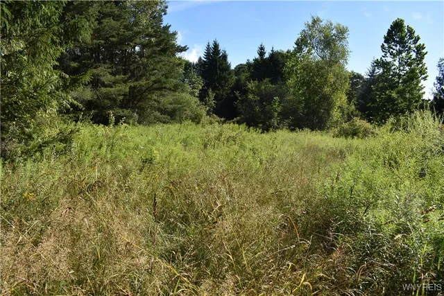 $99,900 | 9190 Ball Road, Otto, NY 14719