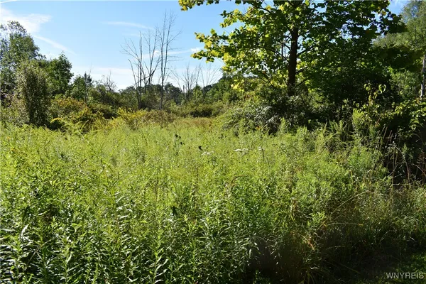 $99,900 | 9190 Ball Road, Otto, NY 14719
