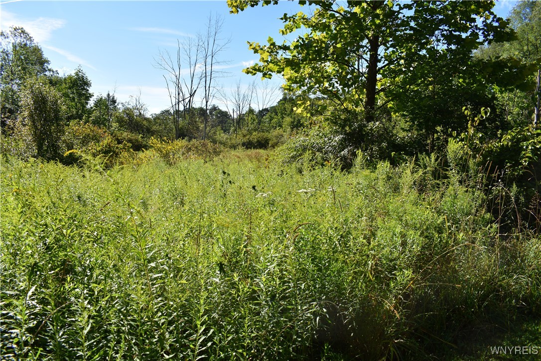 9190 Ball Road Otto, NY 14719 - Photo 15 of 20