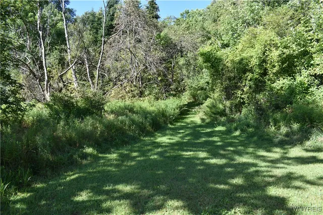 $99,900 | 9190 Ball Road, Otto, NY 14719