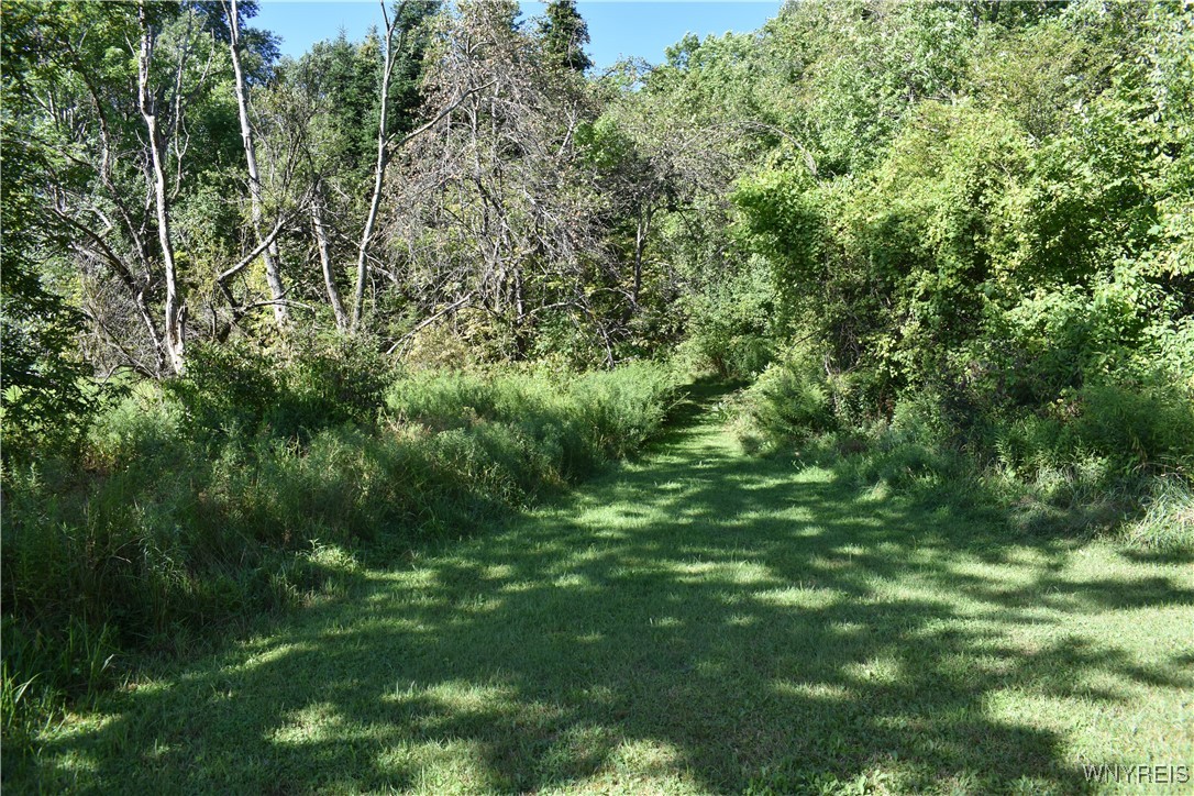 9190 Ball Road Otto, NY 14719 - Photo 16 of 20