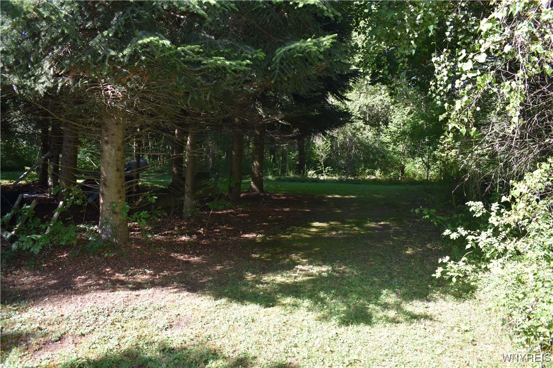 9190 Ball Road Otto, NY 14719 - Photo 17 of 20