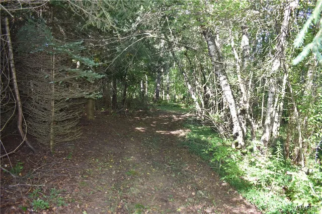 $99,900 | 9190 Ball Road, Otto, NY 14719