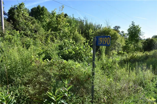 $99,900 | 9190 Ball Road, Otto, NY 14719