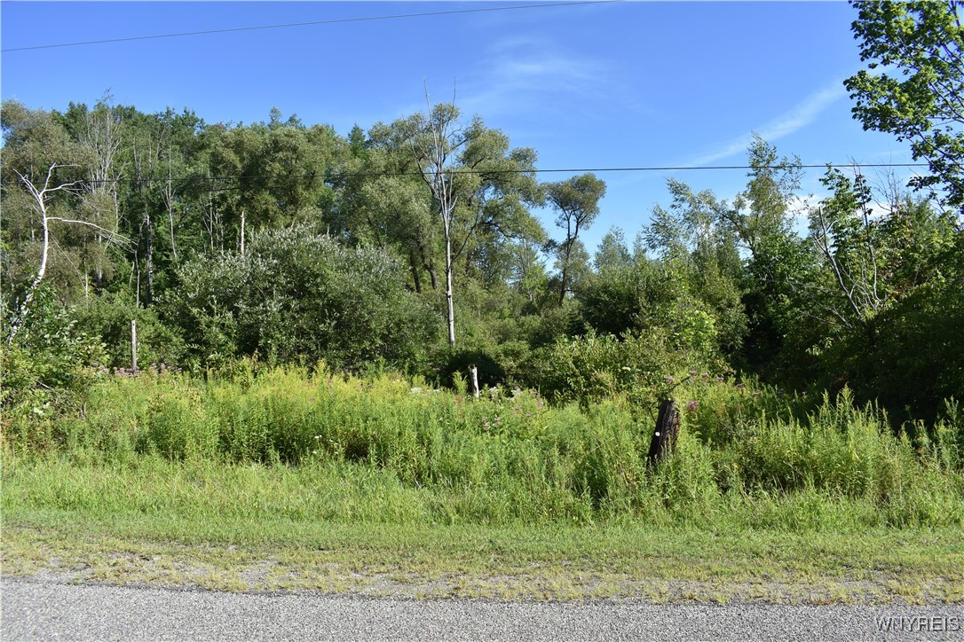 9190 Ball Road Otto, NY 14719 - Photo 3 of 20