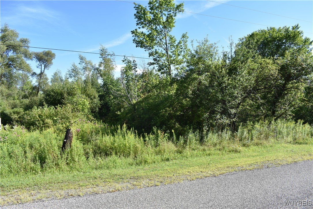 9190 Ball Road Otto, NY 14719 - Photo 4 of 20